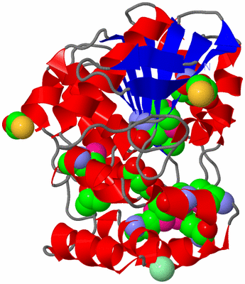 Image Asym./Biol. Unit