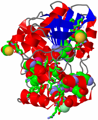 Image Asym./Biol. Unit - sites