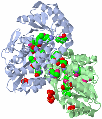 Image Asym./Biol. Unit