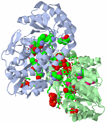 Image Asym./Biol. Unit - sites