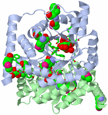 Image Asym./Biol. Unit - sites