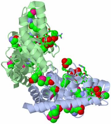 Image Asym./Biol. Unit - sites