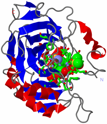Image Asym./Biol. Unit - sites