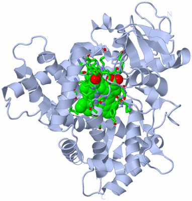 Image Biol. Unit 1 - sites