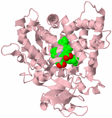 Image Biological Unit 3