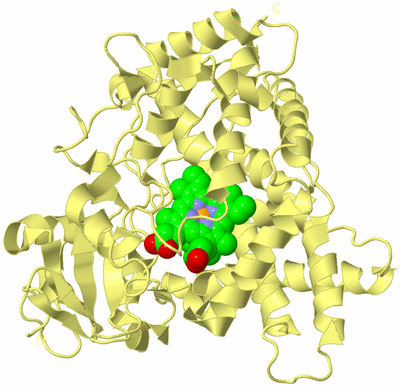 Image Biological Unit 4