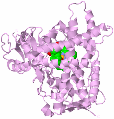 Image Biological Unit 5