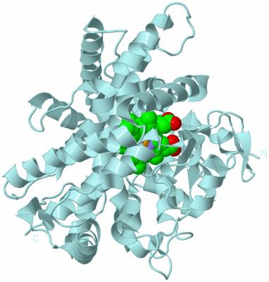 Image Biological Unit 6