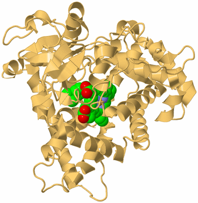 Image Biological Unit 7