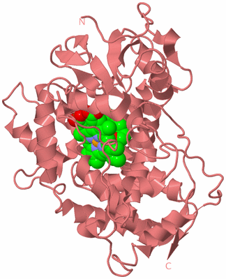 Image Biological Unit 8