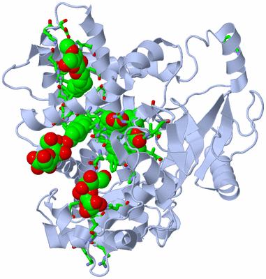 Image Biol. Unit 1 - sites