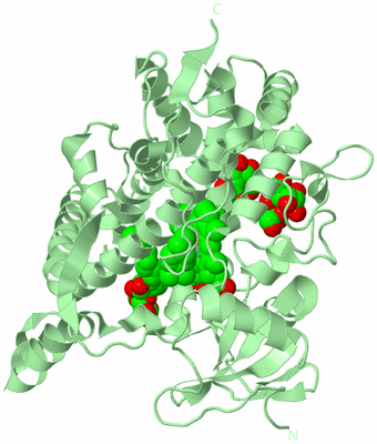 Image Biological Unit 2