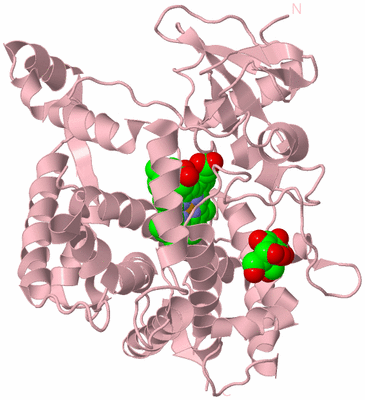 Image Biological Unit 3