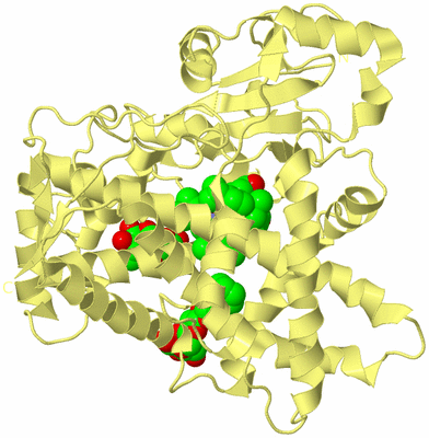 Image Biological Unit 4