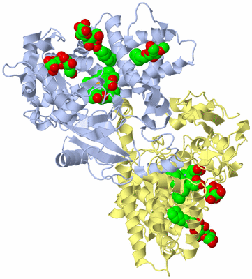 Image Biological Unit 5