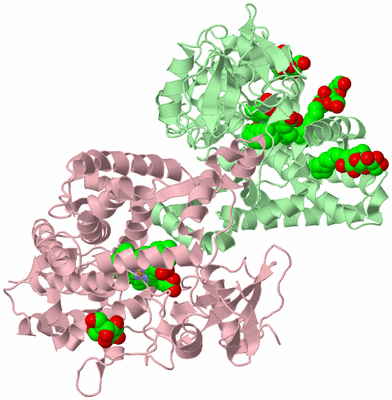 Image Biological Unit 6