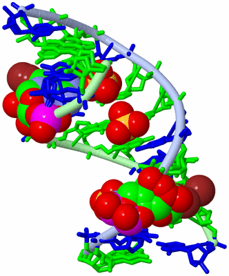 Image Biological Unit 1