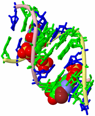 Image Biological Unit 2