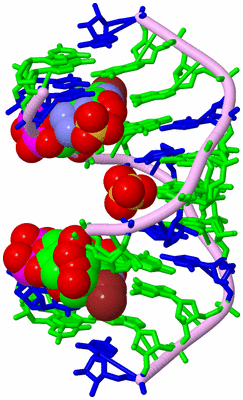 Image Biological Unit 3