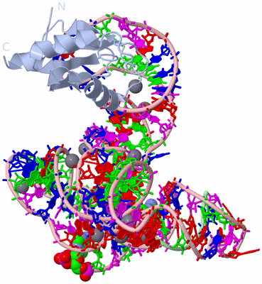 Image Biological Unit 1