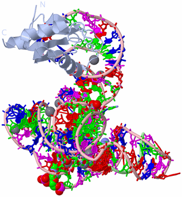 Image Biol. Unit 1 - sites