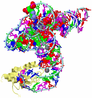 Image Biological Unit 2