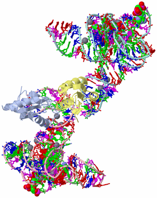 Image Asym. Unit - sites