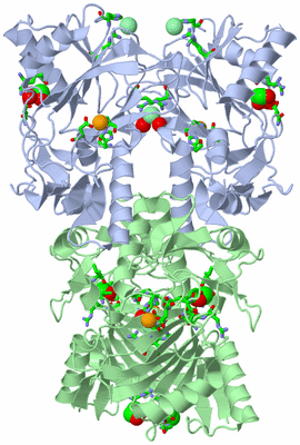 Image Biol. Unit 1 - sites