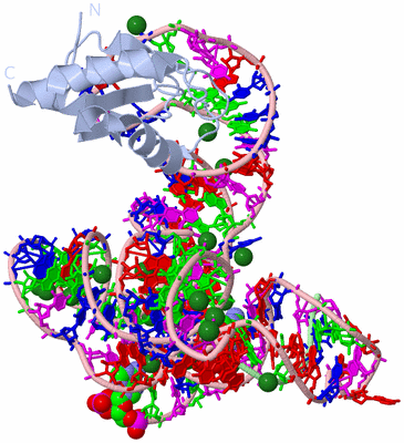 Image Biological Unit 1