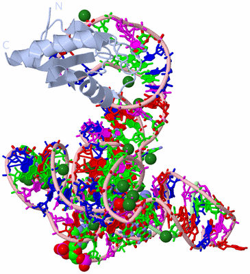 Image Biol. Unit 1 - sites