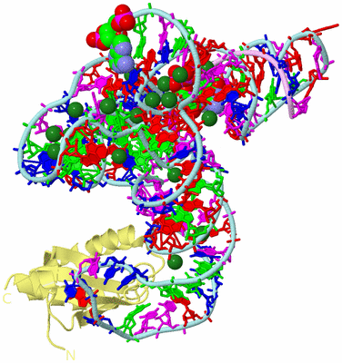 Image Biological Unit 2