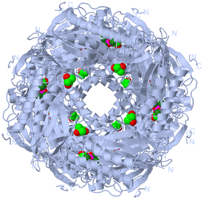 Image Biological Unit 1