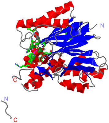 Image Asym. Unit - sites