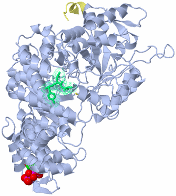 Image Biological Unit 1