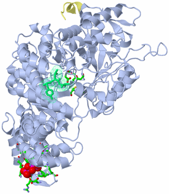 Image Biol. Unit 1 - sites