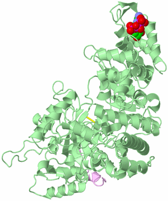 Image Biological Unit 2