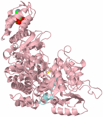 Image Biological Unit 3