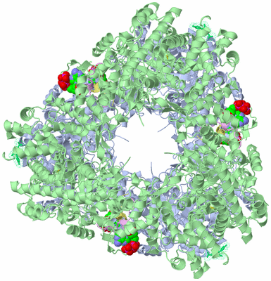 Image Biological Unit 4