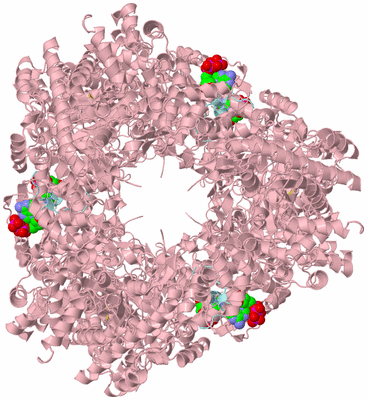 Image Biological Unit 5