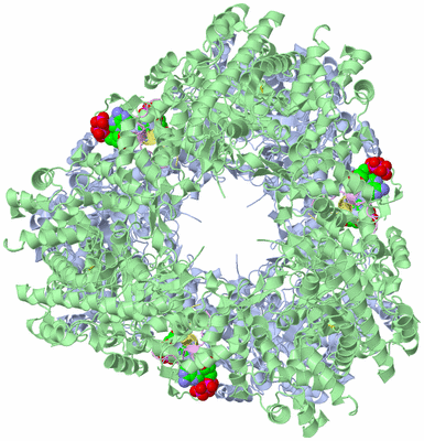 Image Biological Unit 6