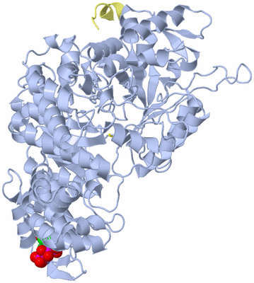 Image Biological Unit 9