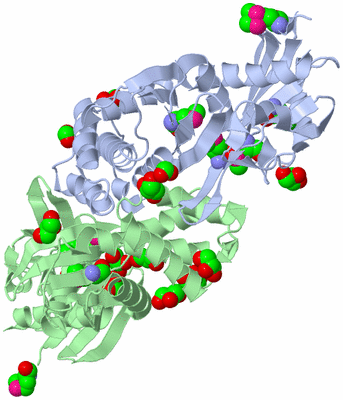 Image Biological Unit 1