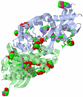 Image Biol. Unit 1 - sites