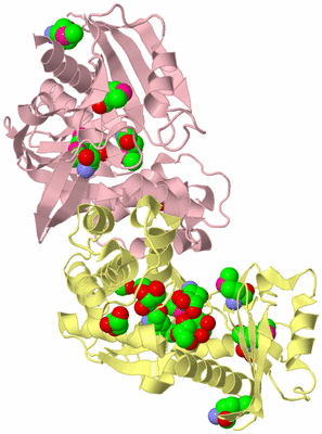 Image Biological Unit 2