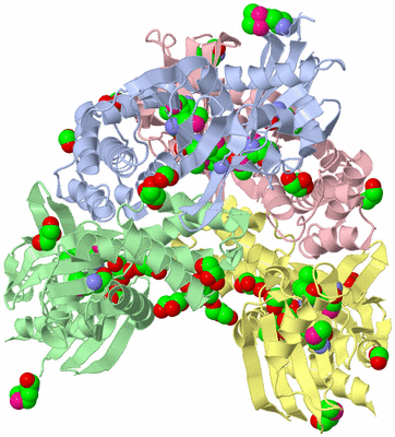 Image Biological Unit 3