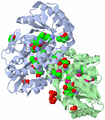 Image Asym./Biol. Unit