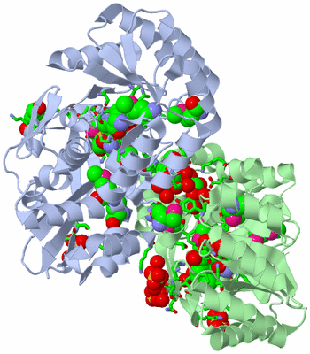 Image Asym./Biol. Unit - sites