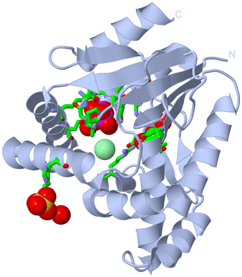 Image Biol. Unit 1 - sites