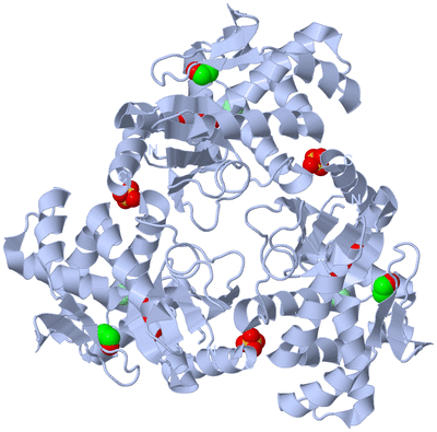 Image Biological Unit 2