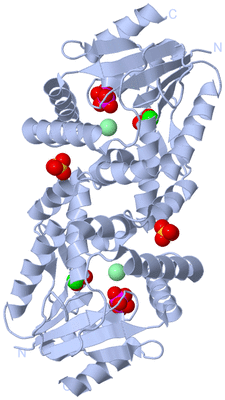 Image Biological Unit 3